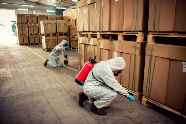 Best Pest Inspection Near Me  in Madisonville, TX