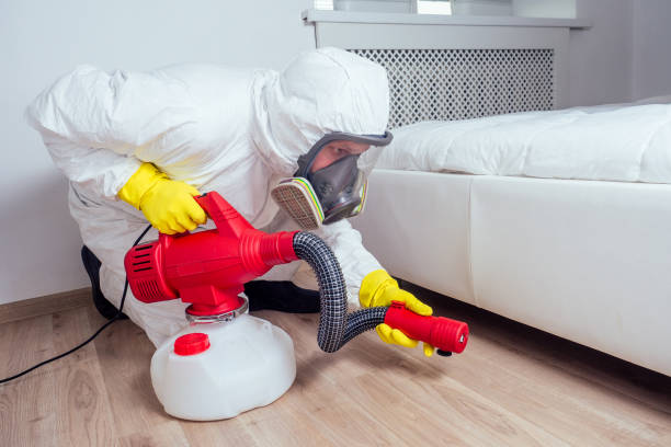Best Ant Control Services  in Madisonville, TX
