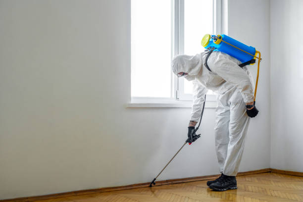 Best Rat Extermination Near Me  in Madisonville, TX