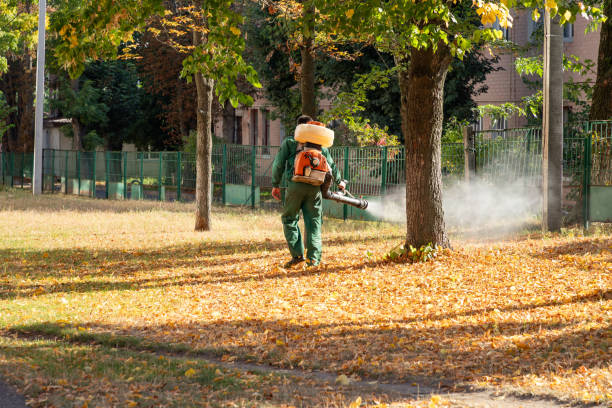 Best Affordable Pest Control Services  in Madisonville, TX