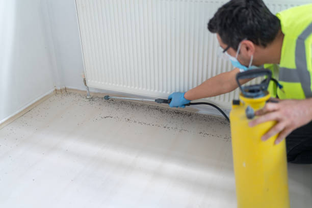 Best Best Pest Control Companies  in Madisonville, TX